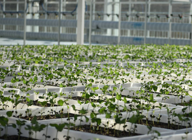 植物常规理化检测服务