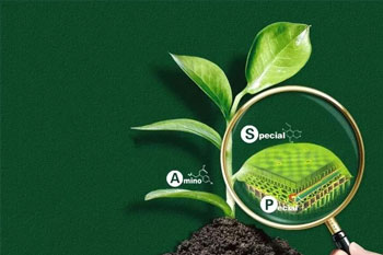 有机质生物标志物检测