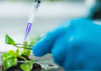 土壤酶活检测试剂盒